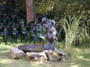 Bild 026