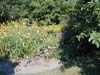 Bild 040