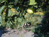 Bild 041