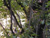 Bild 061